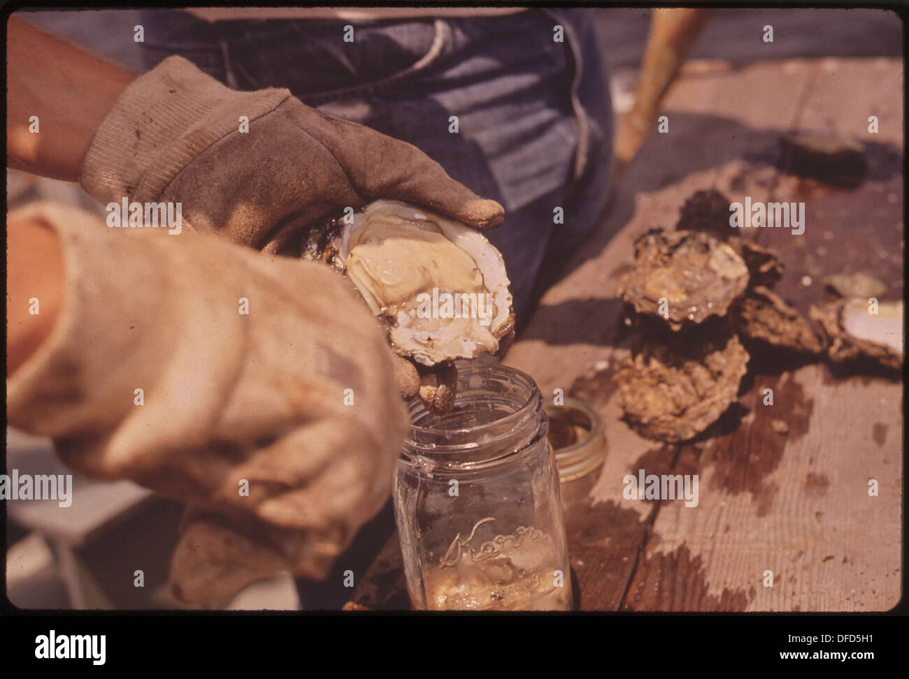 Epa gulf breeze laboratory personnel aboard the epa vessel dolphin hi
