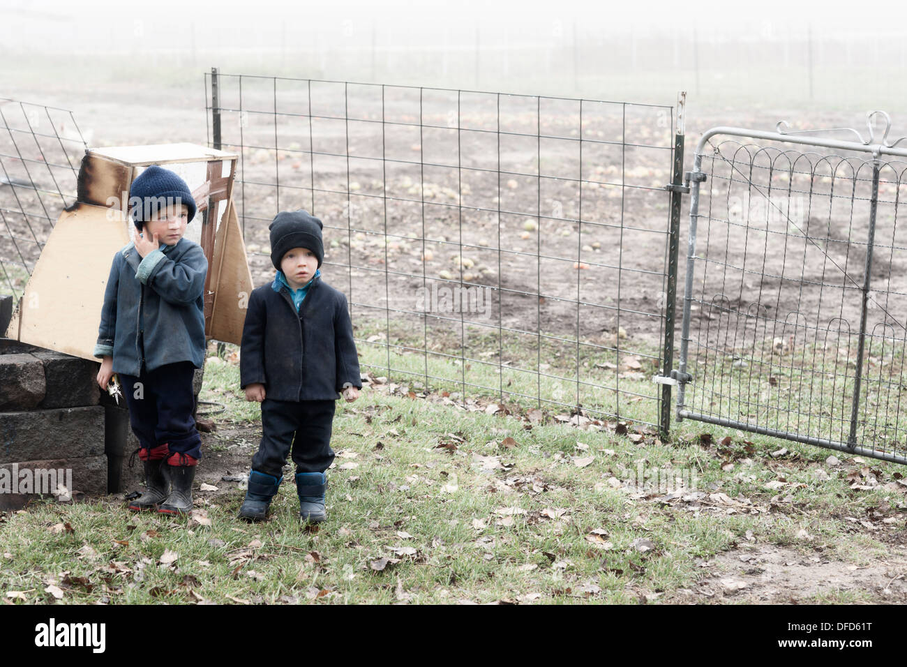 Life on Amish farm, Lanesboro, Minnesota, USA Stock Photo Alamy