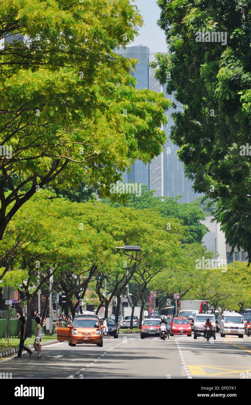 Singapore road with trees in Downtown Stock Photo Alamy