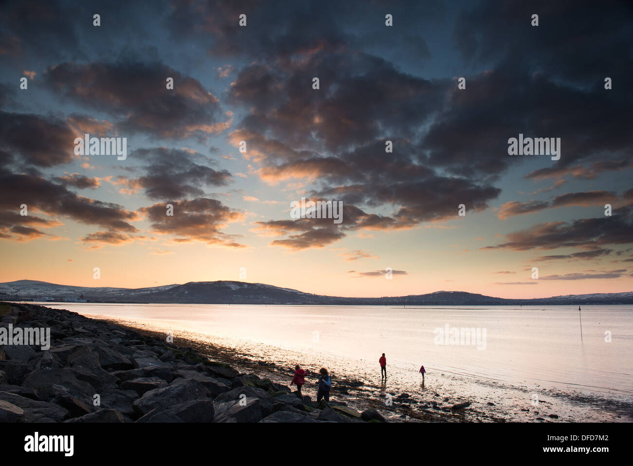 Belfast lough hires stock photography and images Alamy