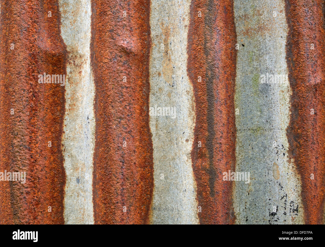 Close up image or texture of a corrugated roof sheet which has started to corrode Stock Photo