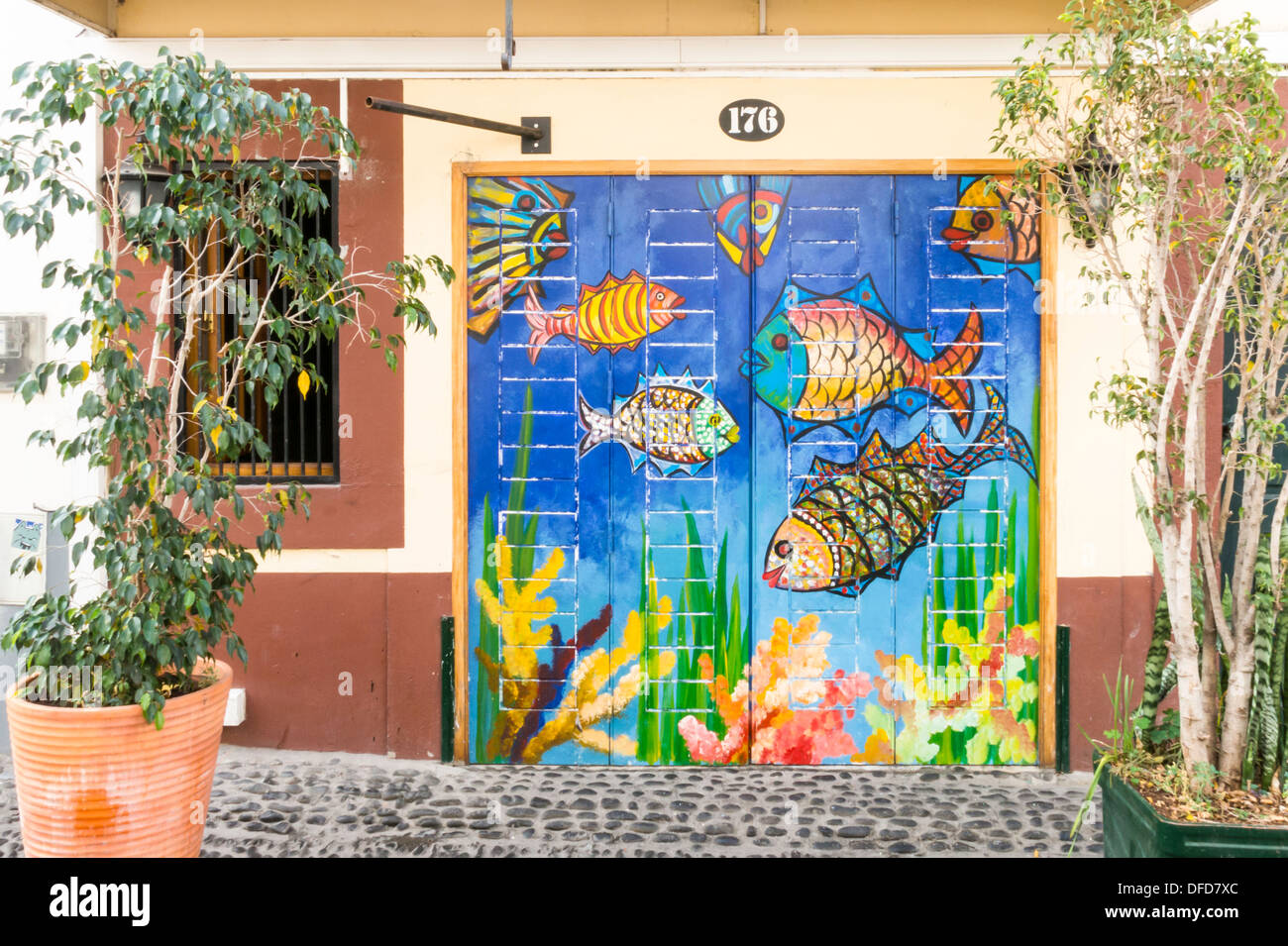 Painted Doors in Rua de Santa Maria Funchal Madeira Stock Photo