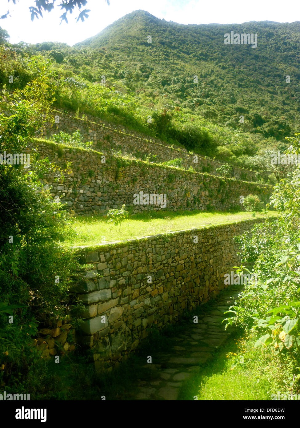 Stone terraces with llama detailing at the Inca site of Choquequirao, in the Apurimac valley, Cuzco, Peru Stock Photo