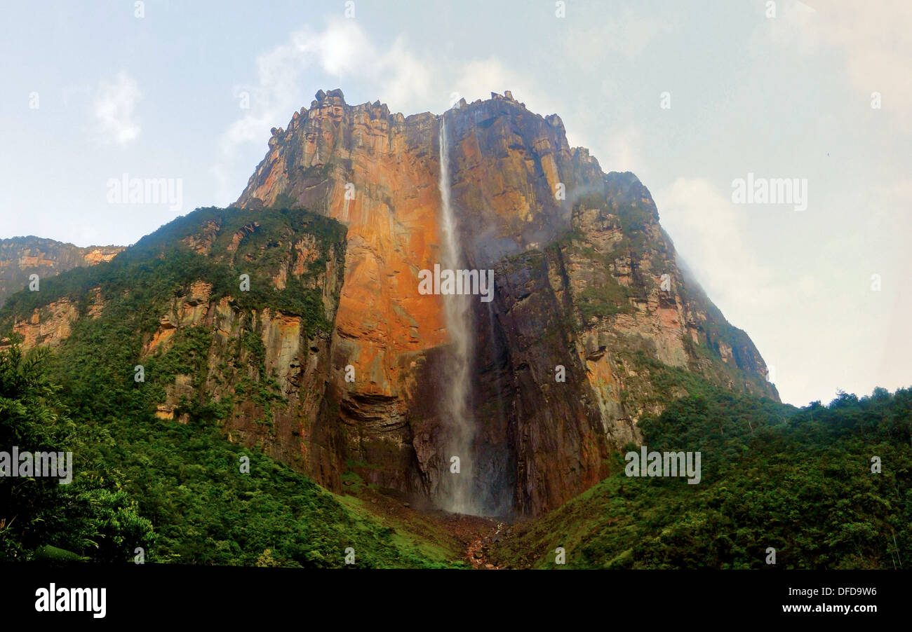 Angel Falls / Salto de Angel, Canaima National Park, Venezuela Stock ...