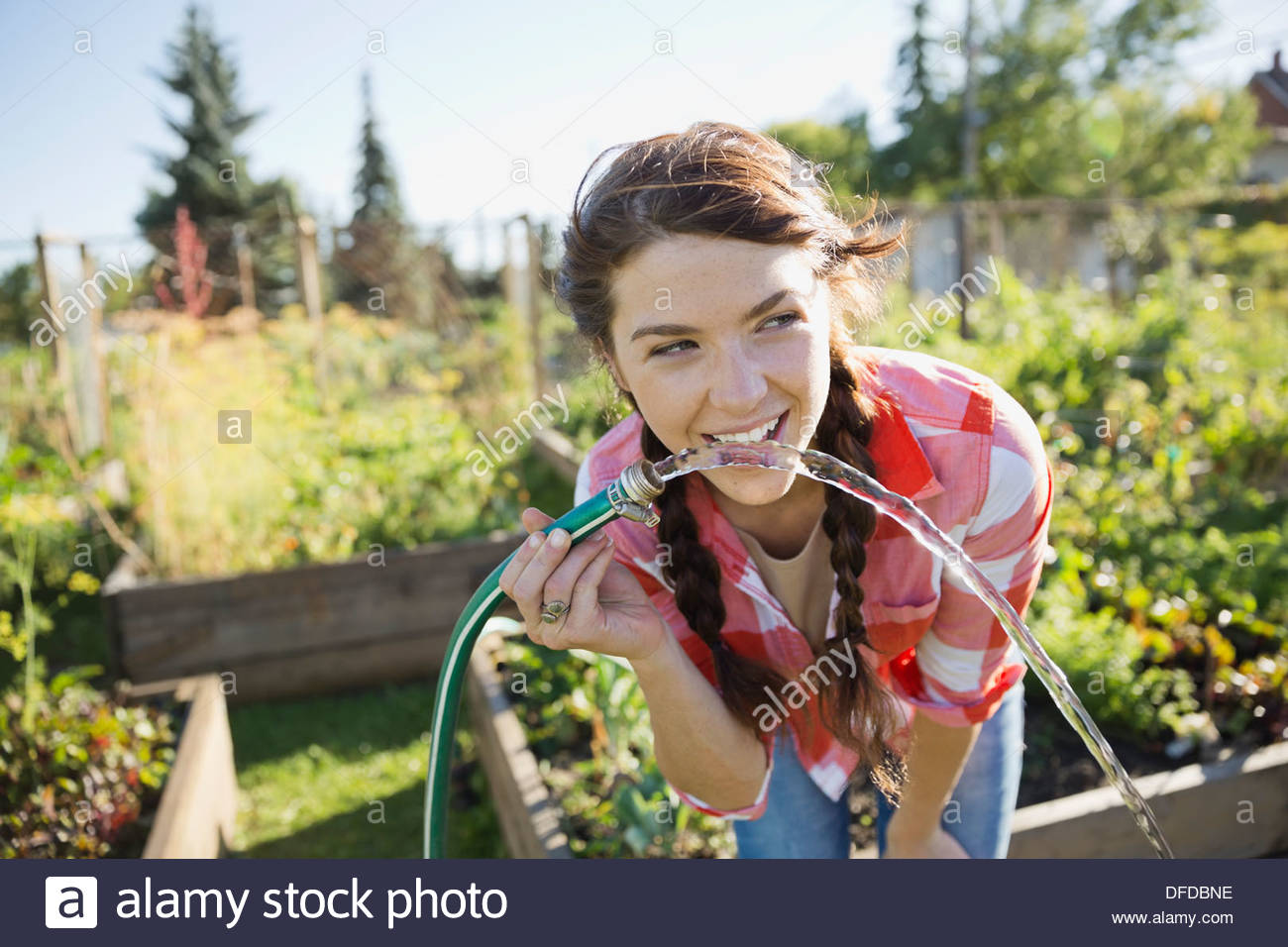 Women drinking from garden hose hires stock photography and images Alamy