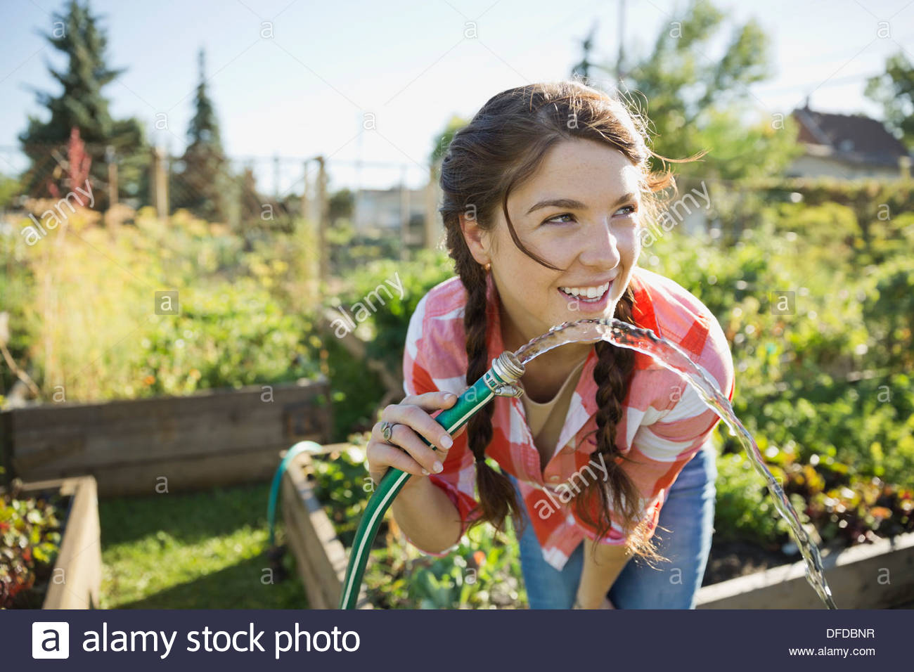 Women drinking from garden hose hires stock photography and images Alamy