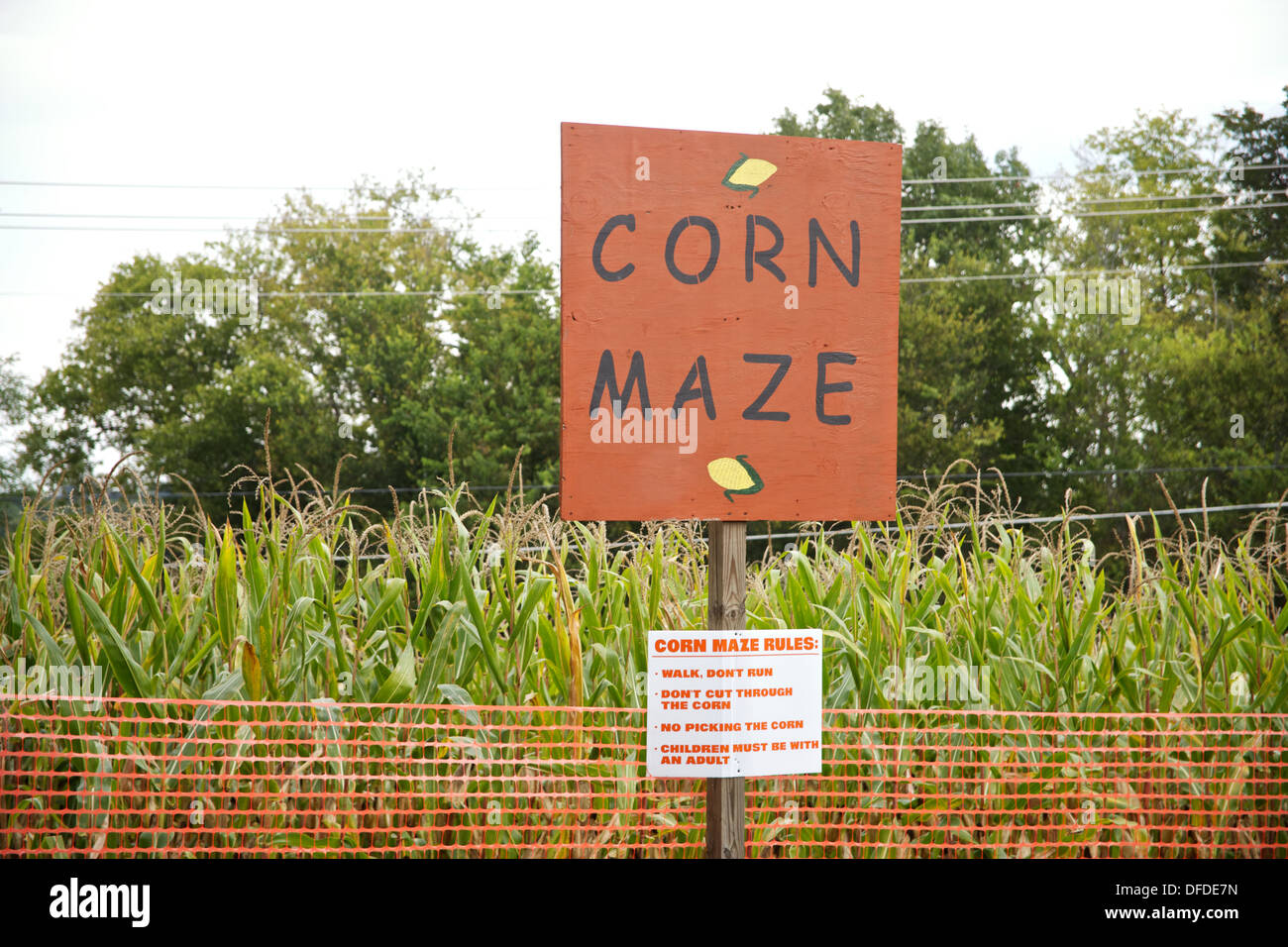 Corn maze sign at a fall festival. Stock Photo