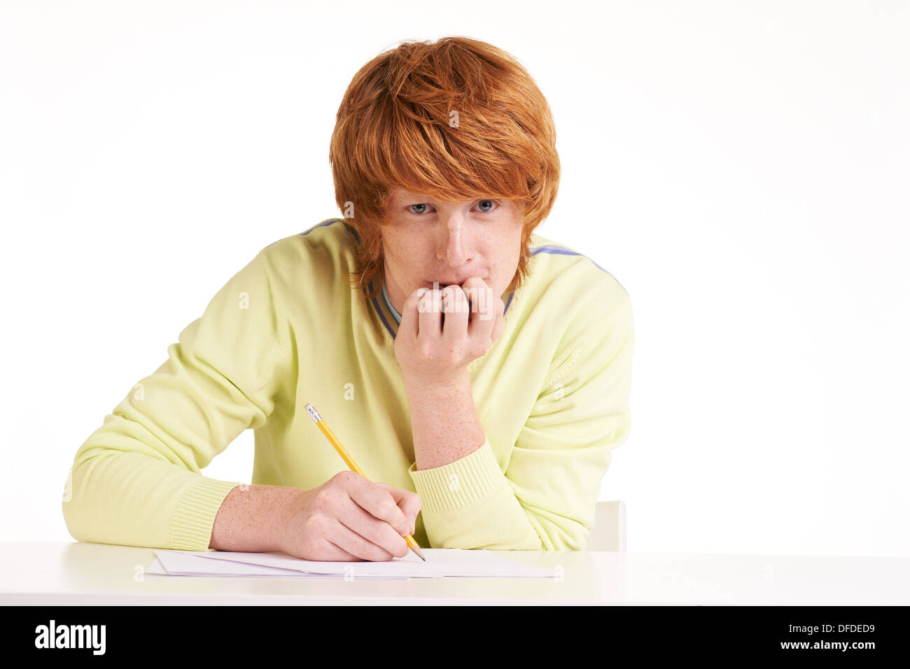 Portrait of redhead student making notes and looking at camera Stock Photo