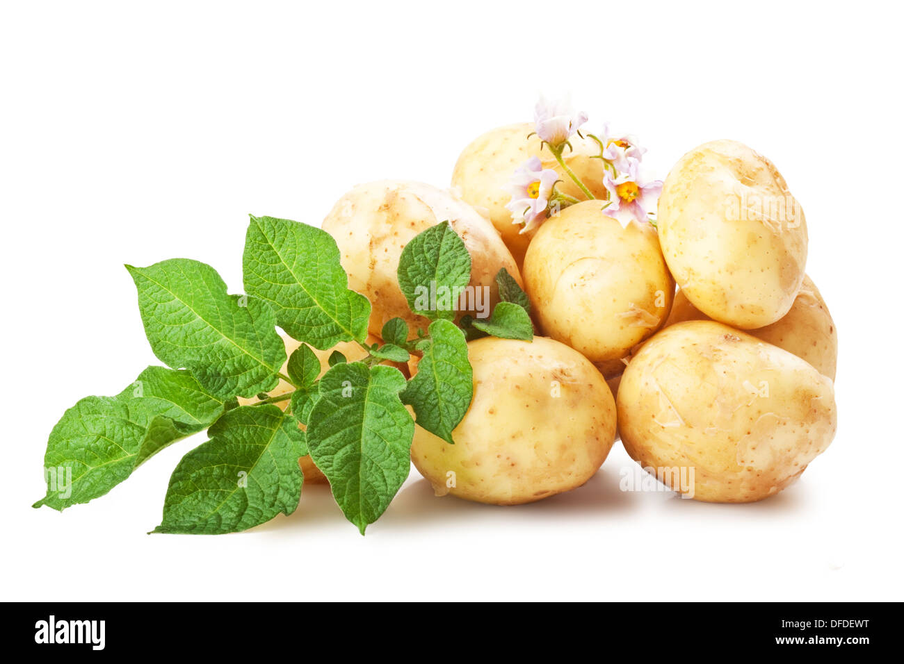Heap of ripe potatoes vegetable with green leafs isolated on white background Stock Photo