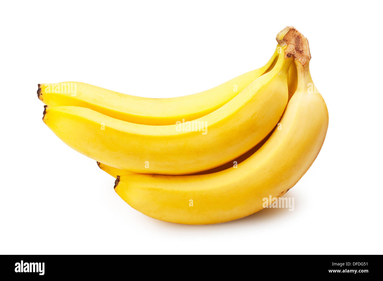 Bunch of bananas on the plant – License Images – 693890 ❘ StockFood