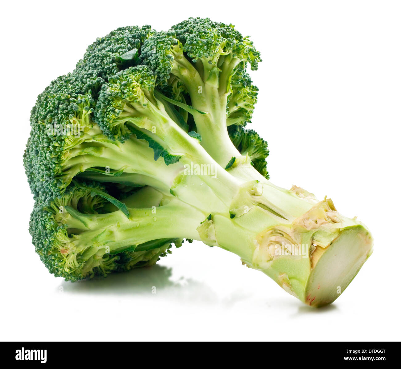 green broccoli isolated on White Background Stock Photo