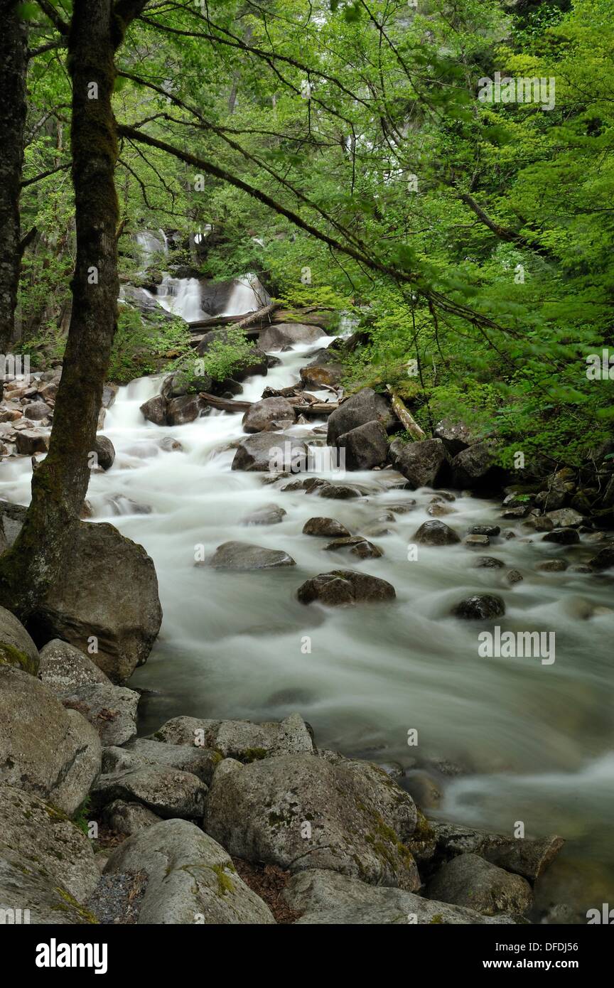 Shannon Falls Provincial Park, near Squamish, British Columbia, Canada ...