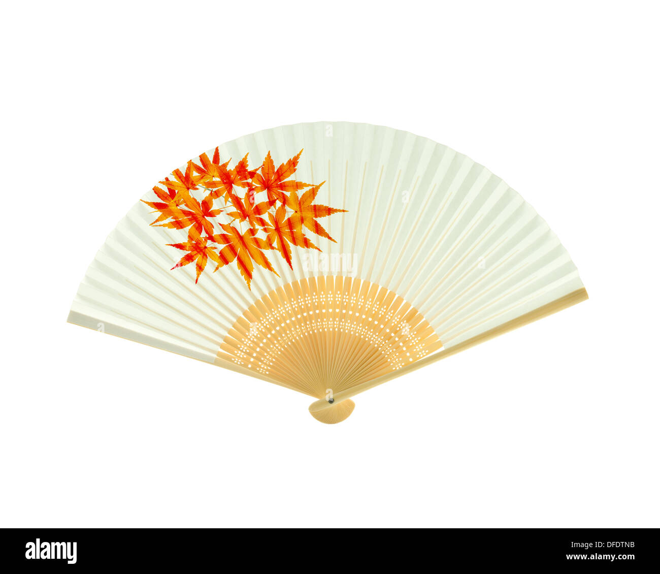 Red japanese fan maple Cut Out Stock Images & Pictures Alamy