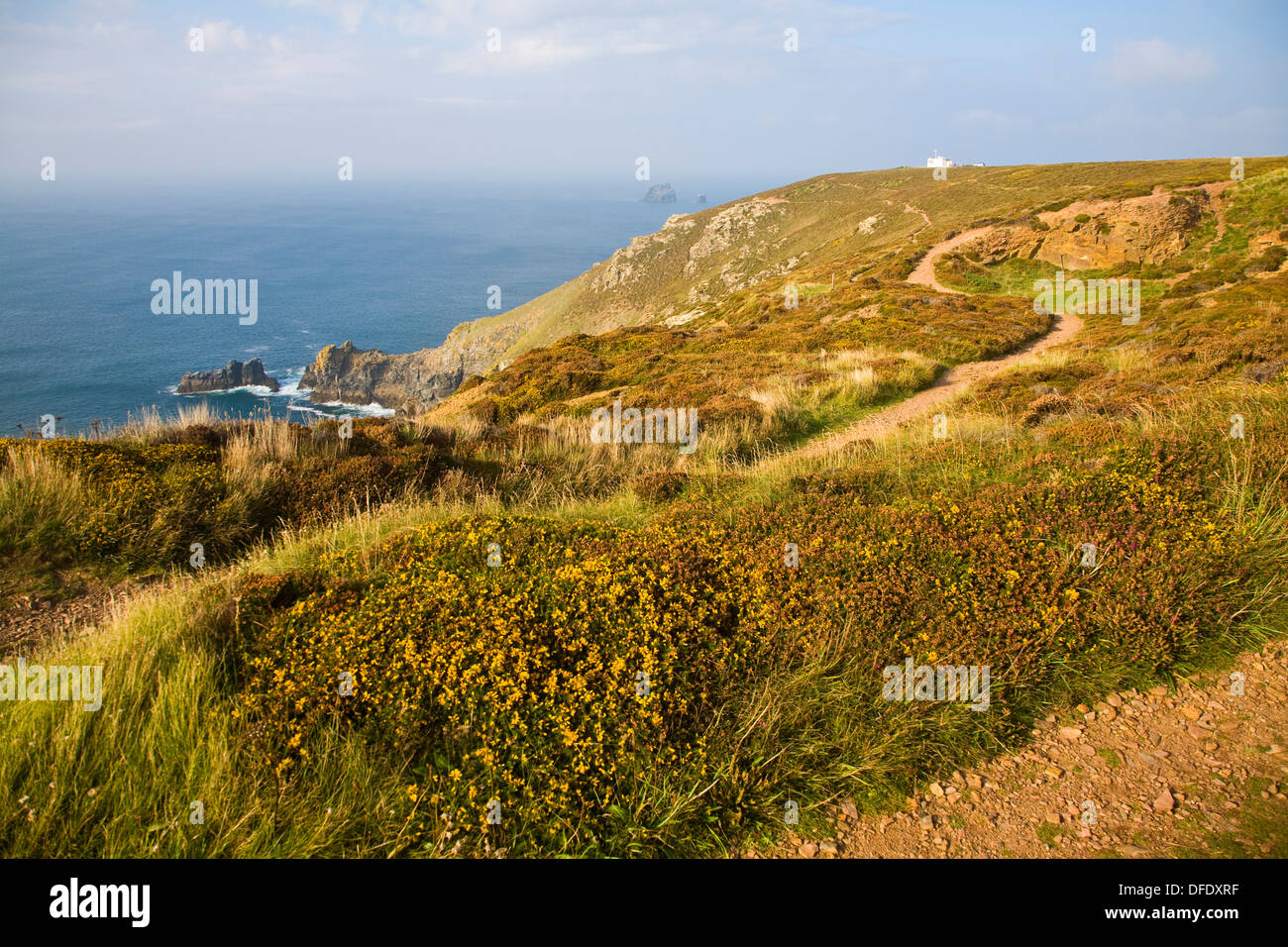 Cliff Top Scenery At St Agnes Head Cornwall England Stock Photo Alamy