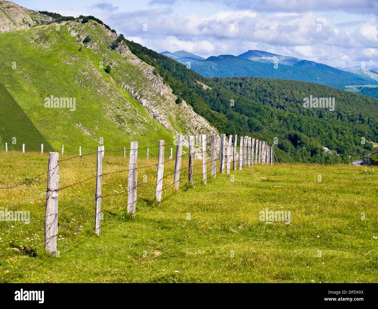 Fence, pastures in Sierra de Abodi near Irati beechwood, Ochagavia.  Pyrenees Mountains, Navarra, Spain Stock Photo - Alamy