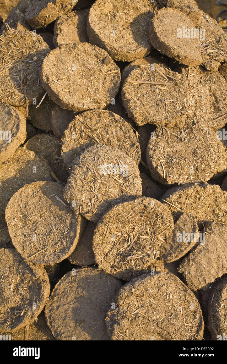 dung-patty-hi-res-stock-photography-and-images-alamy