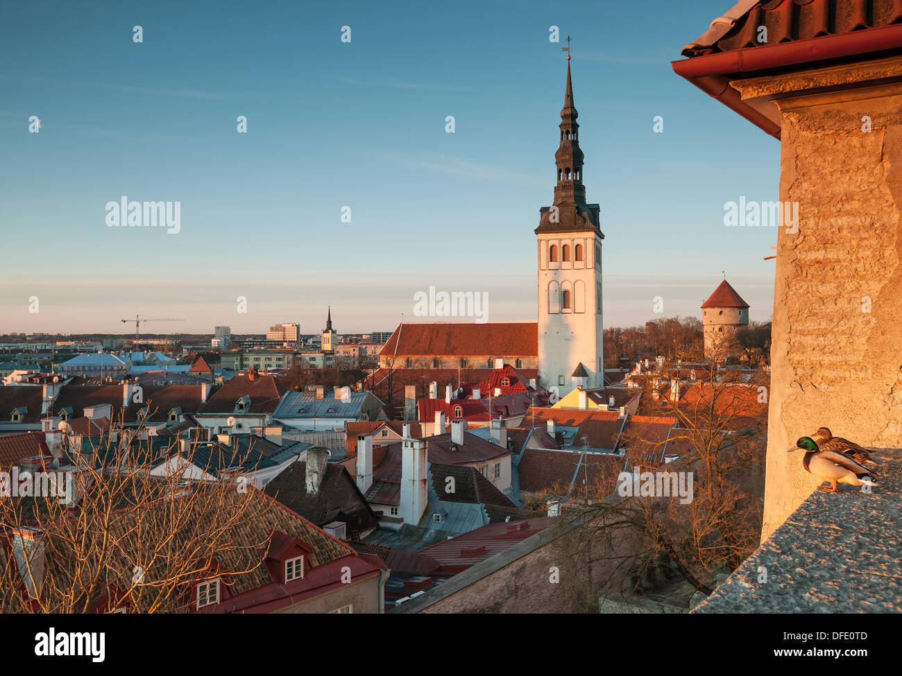 Early spring morning panorama of old Tallinn, Estonia Stock Photo
