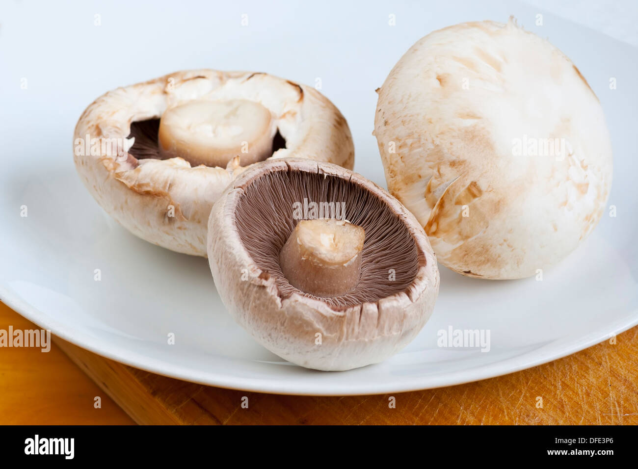 edible mushroom - button mushroom - champignon Stock Photo