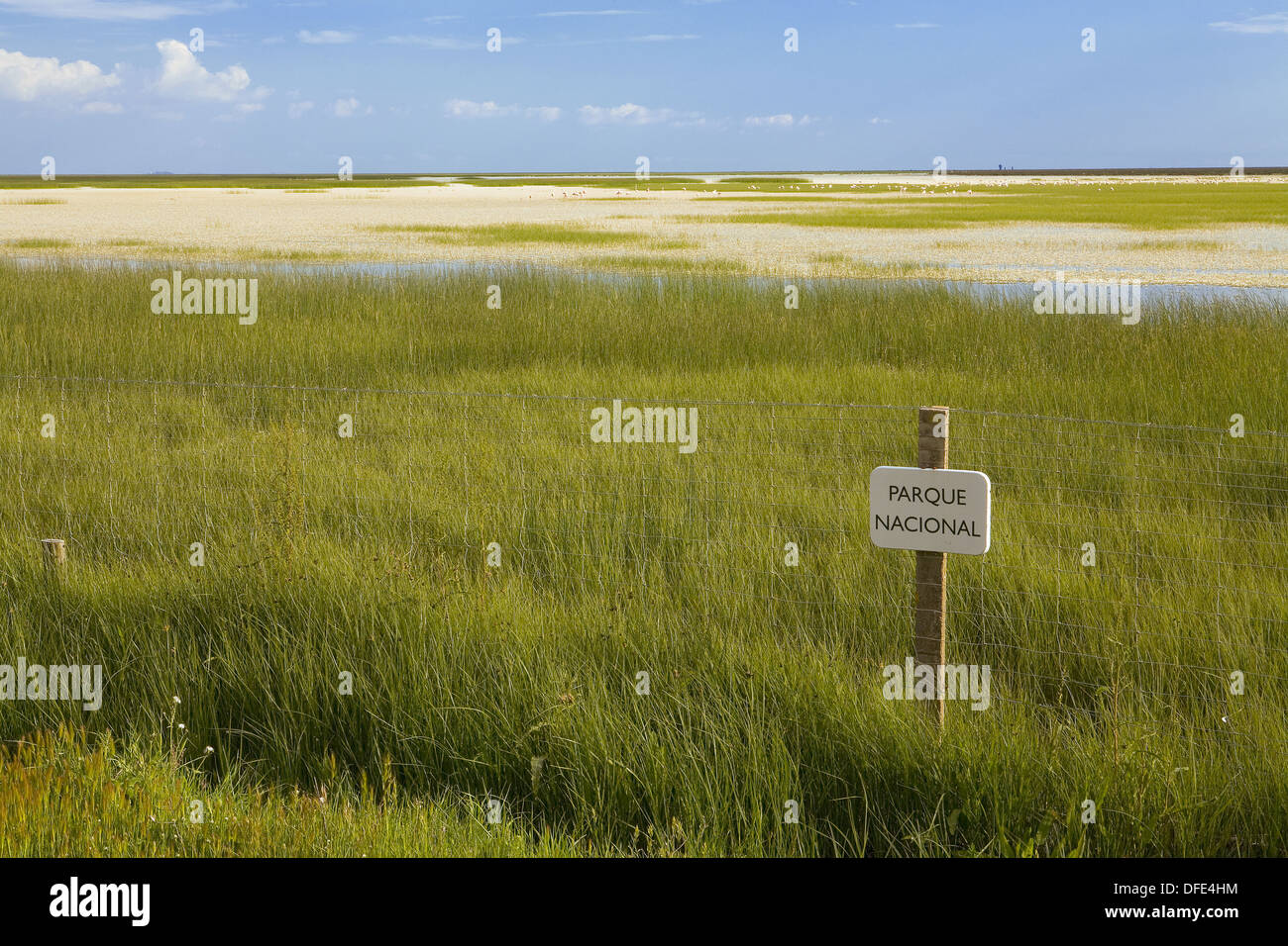 Boggy lagoon hi-res stock photography and images - Alamy
