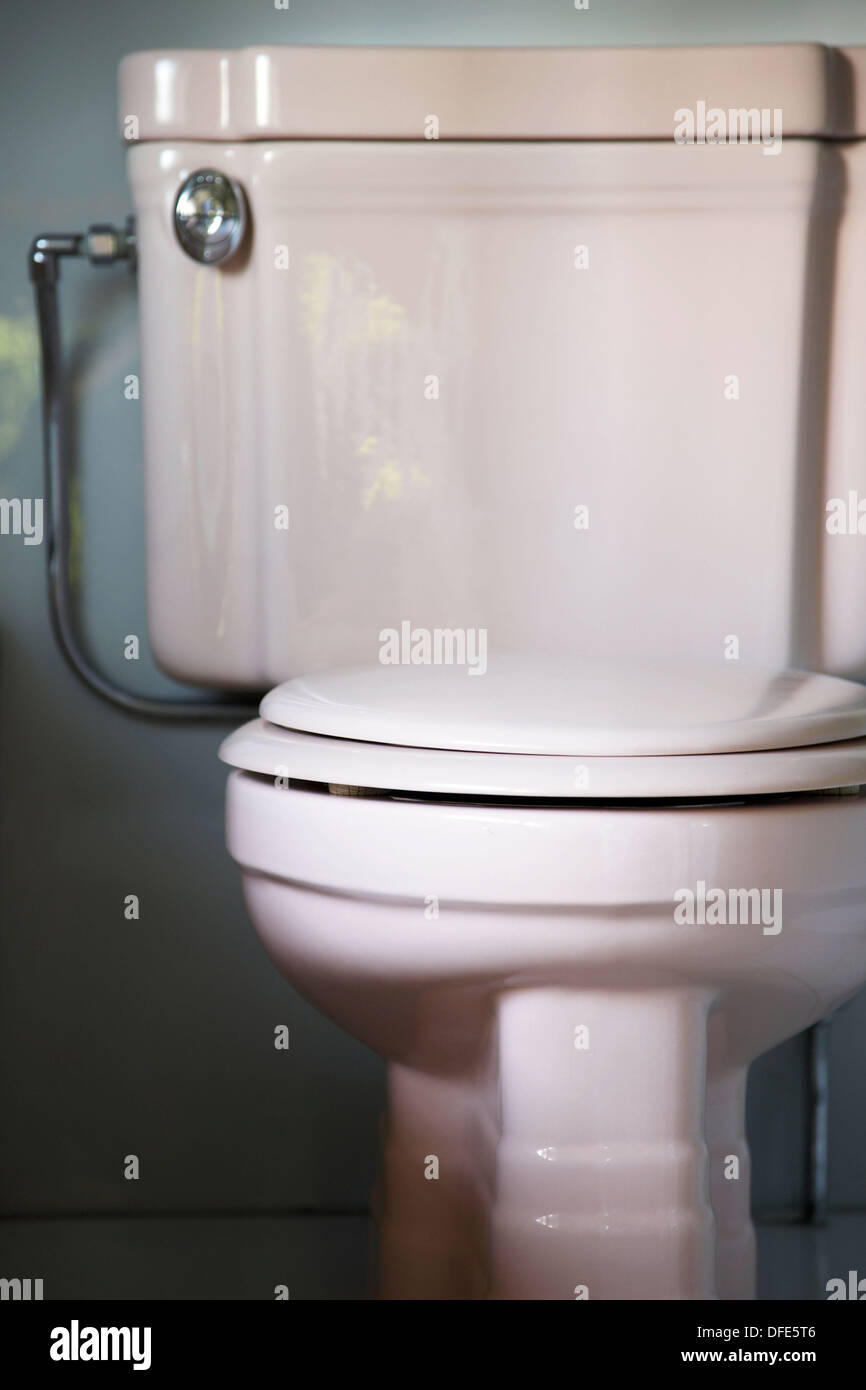 Golden toilet seat hi-res stock photography and images - Alamy