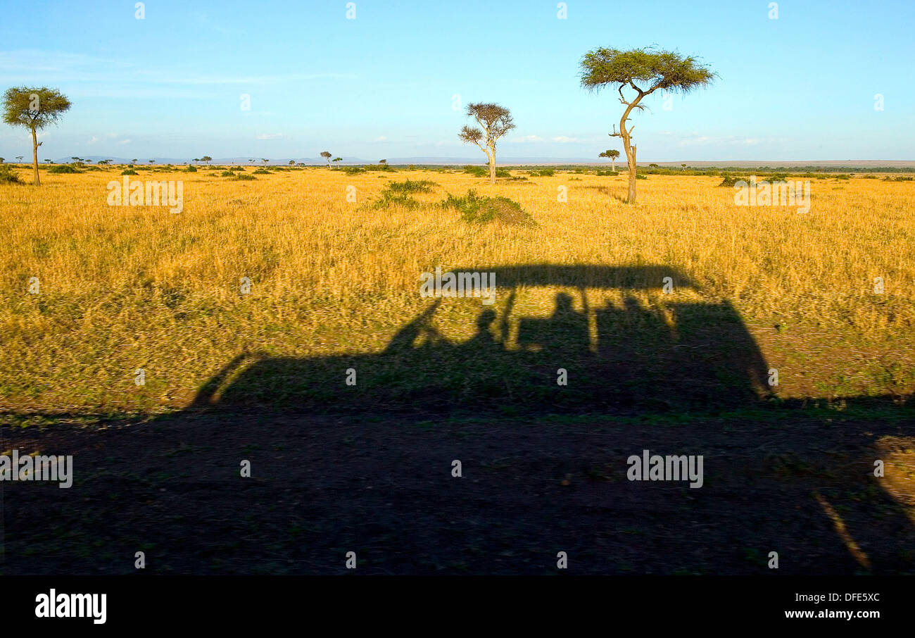 Shadow of a Safari Vehicle. The Masai Mara. Kenya Stock Photo