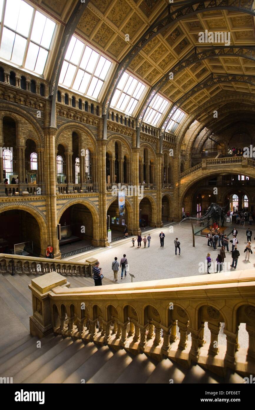 Natural History Museum Central Hall London England Great Britain natural-history-museum-central-hall-london-england-great-britain