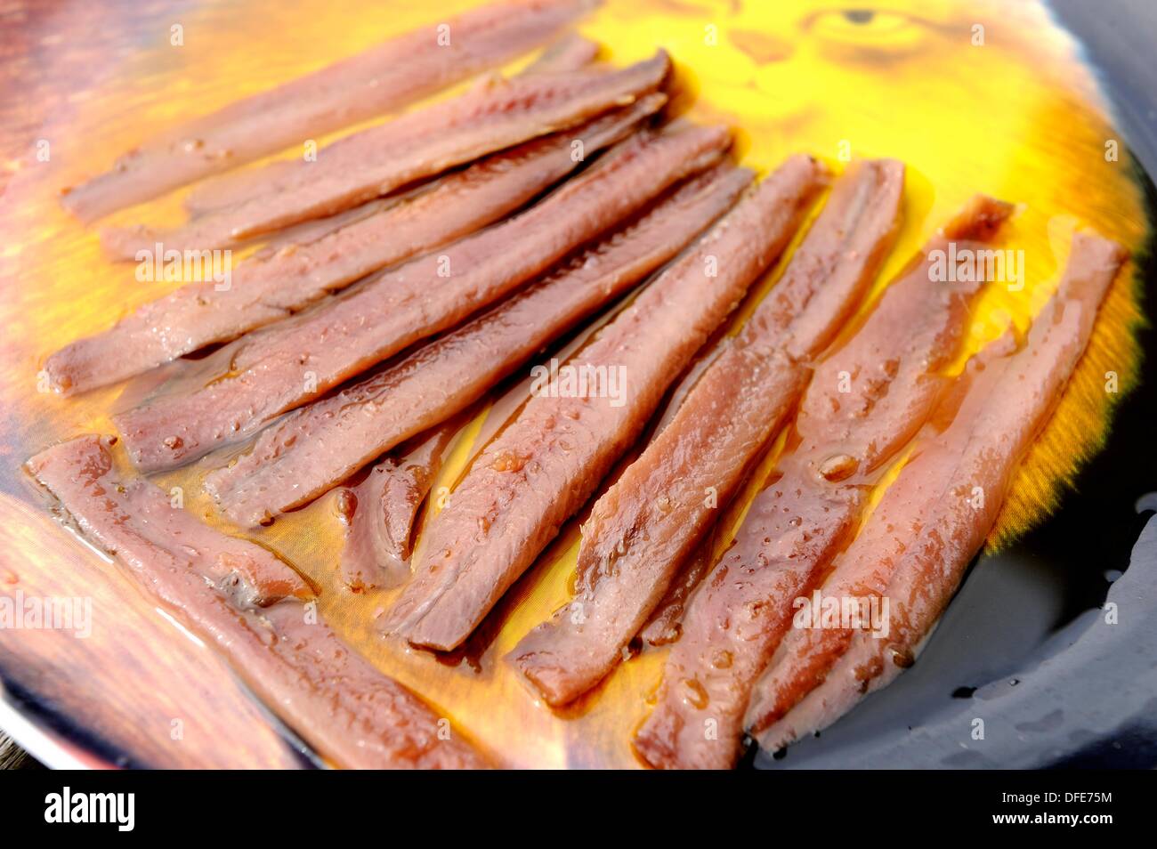 Cantabrian anchovy fillets in olive oil Stock Photo Alamy