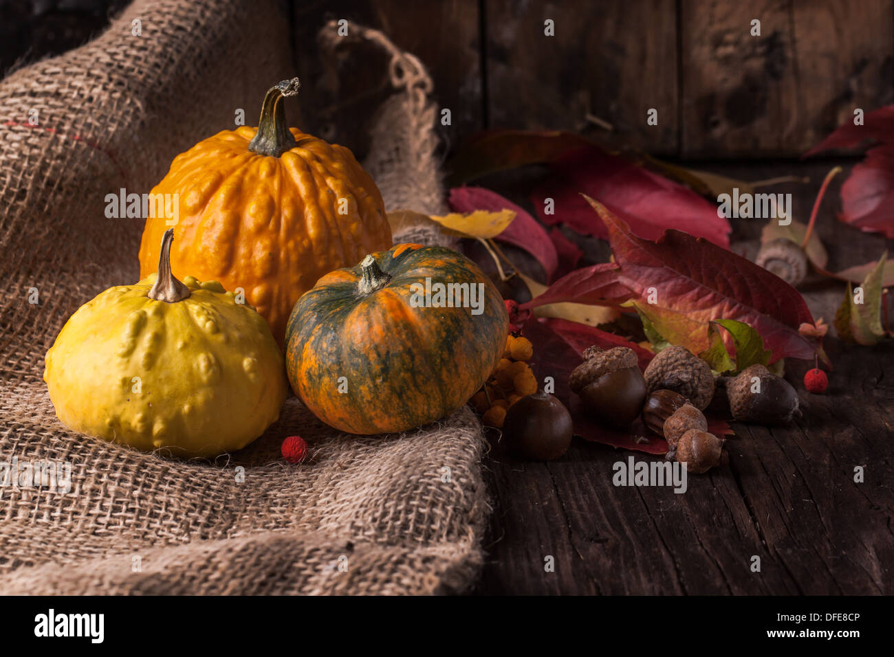 Orange and yellow pumpkins with acorns and autumn leaves on old wooden ...
