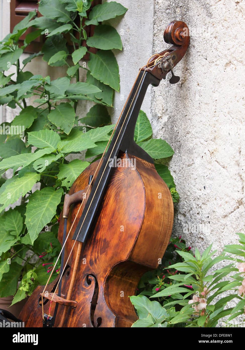 old contra bass in the garden Stock Photo