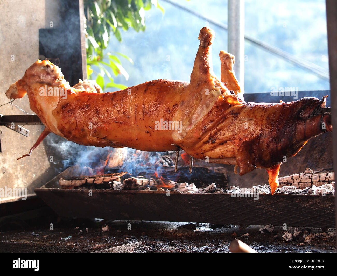 grilled pig on the broach Stock Photo