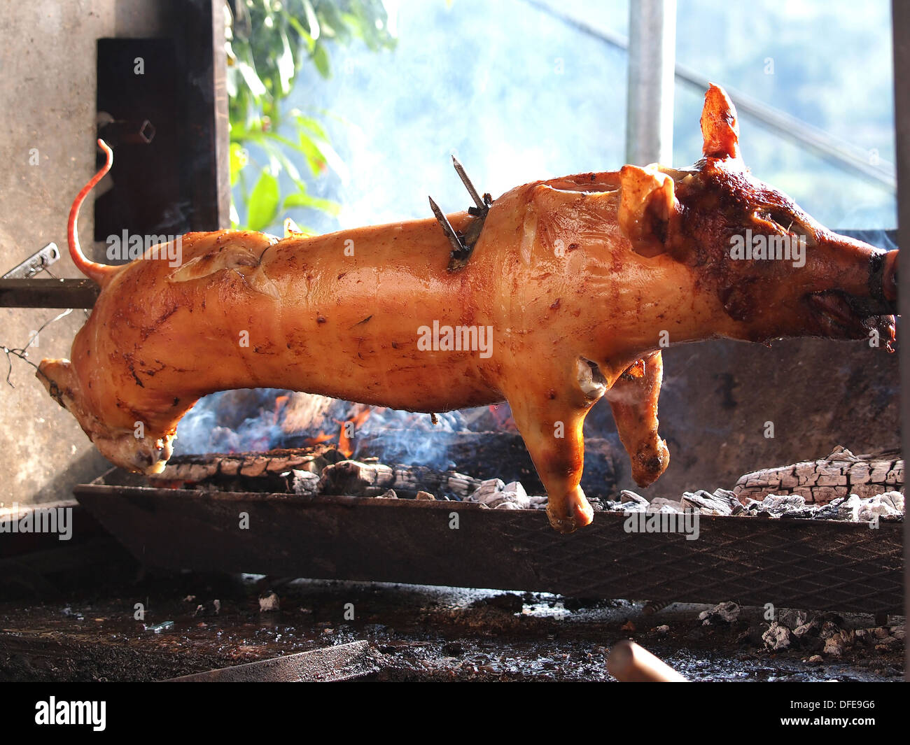 grilled pig on the fire Stock Photo