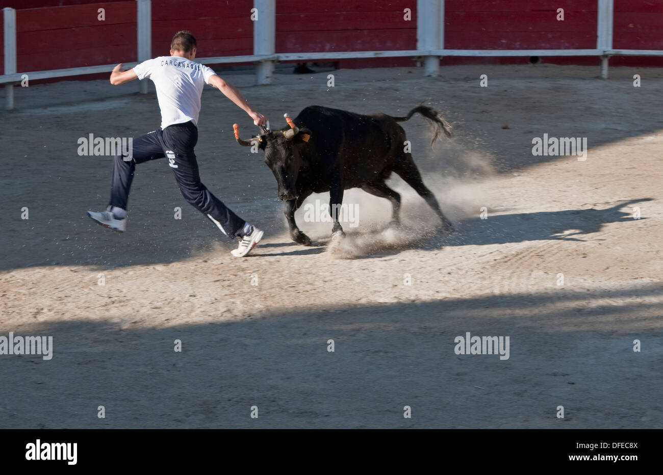 Bull at full charge hi-res stock photography and images - Alamy