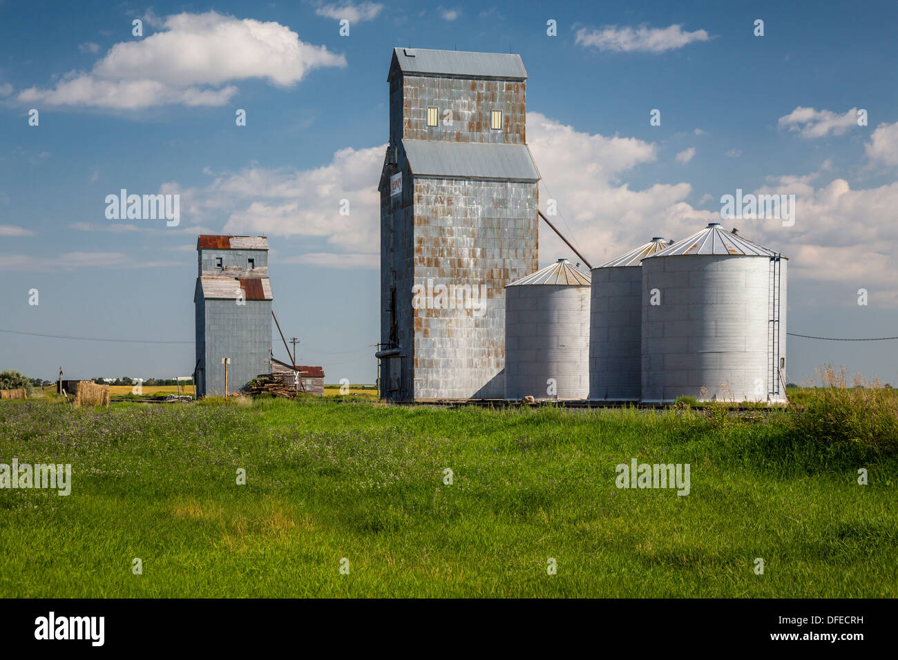 Two small grain elevators near Cole Harbor, North Dakota, USA. Stock Photo
