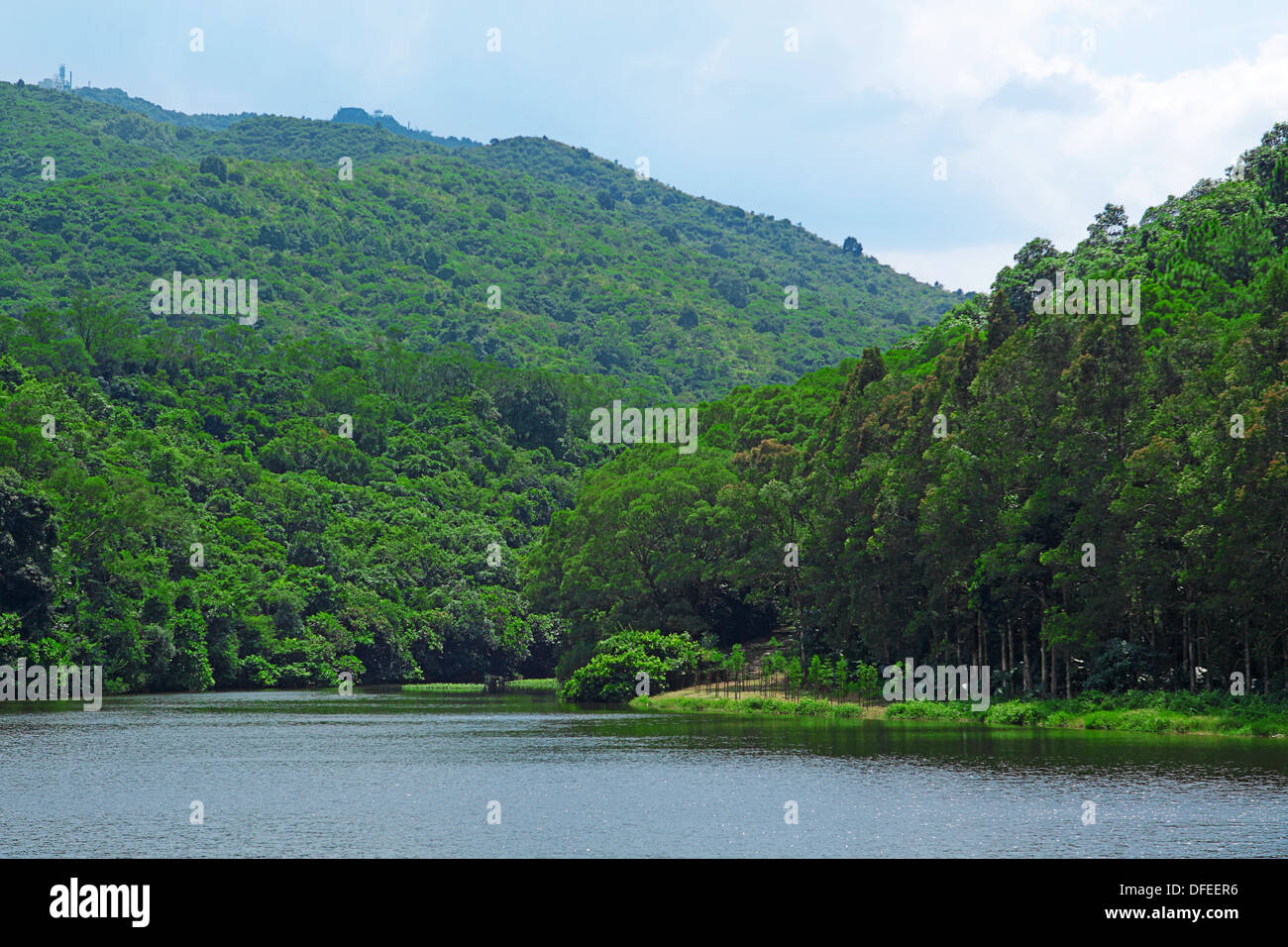 Landscape of trees with reflection on lake under blue sky Stock Photo ...