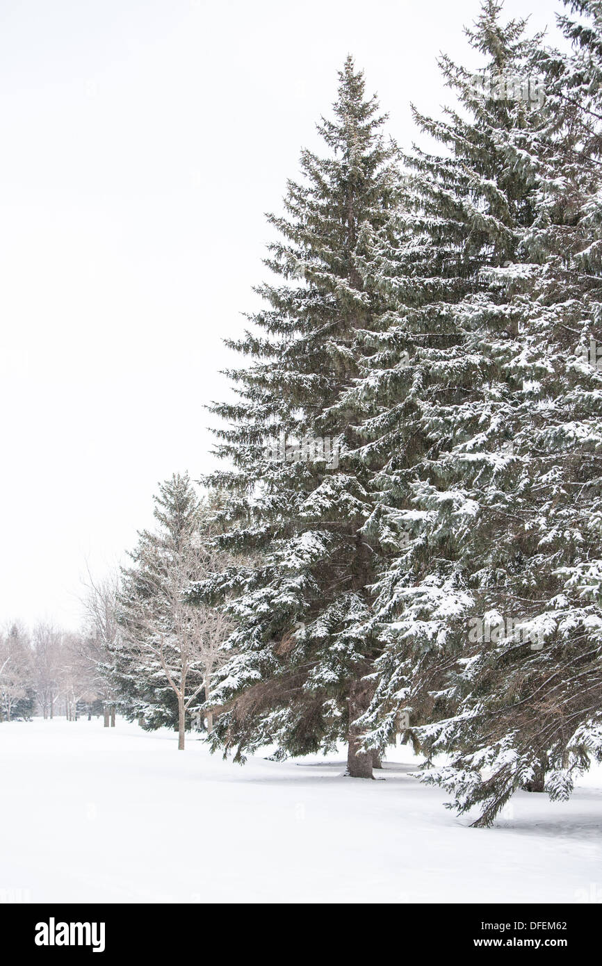Fargo north dakota winter hires stock photography and images Alamy