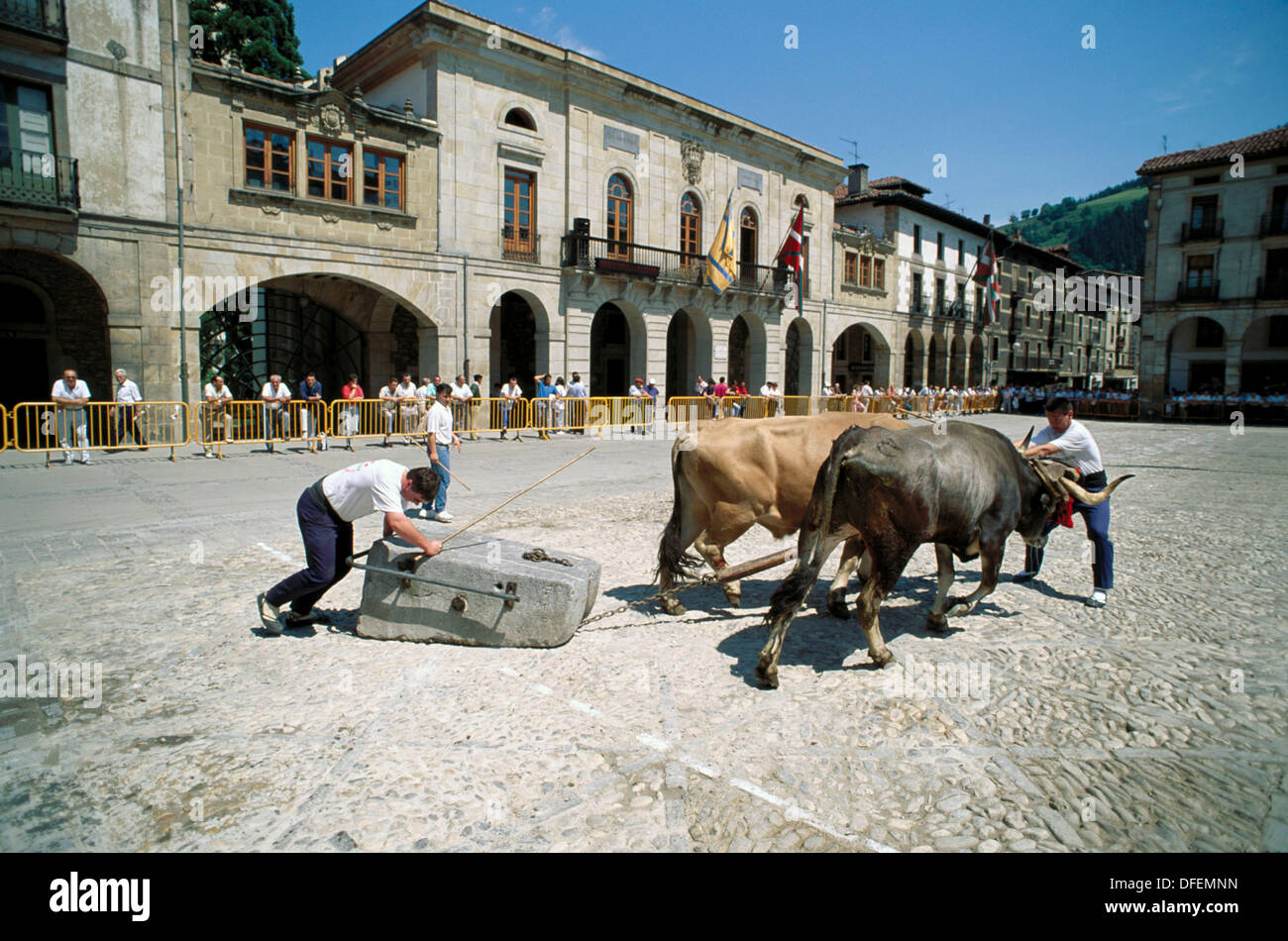 ´Idi proba´ (boulders dragged by oxen, Basque traditional sport), Zumarraga. Guipuzcoa, Euskadi, Spain Stock Photo