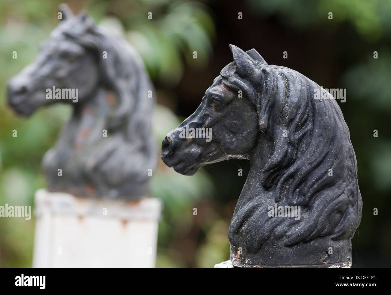 cast iron horse heads finials on gate posts selective focus Stock Photo