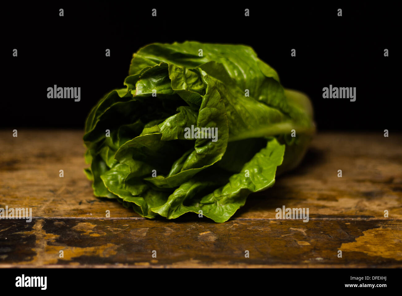 Large head of cos lettuce on wood surface Stock Photo