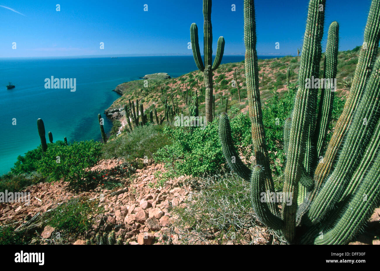 La Paz region. Baja California. Mexico Stock Photo Alamy
