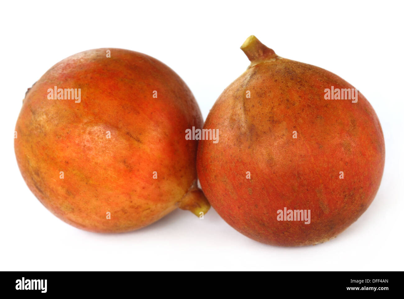 India figs named as Dumur fruit Stock Photo Alamy