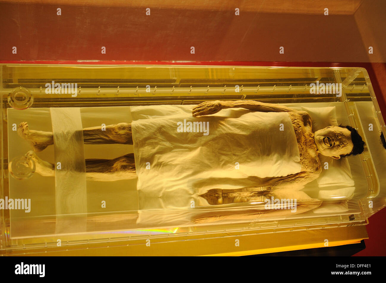 The 2100 year old mummy of DAIXIN ZHUI, Changsha, Hunan, China Stock