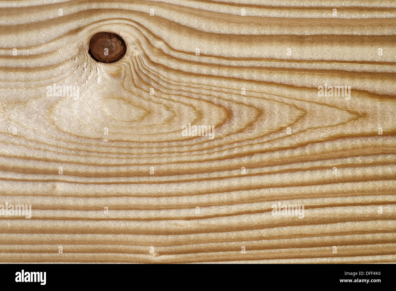 View of texture of pine wood plank, high detailed Stock Photo - Alamy