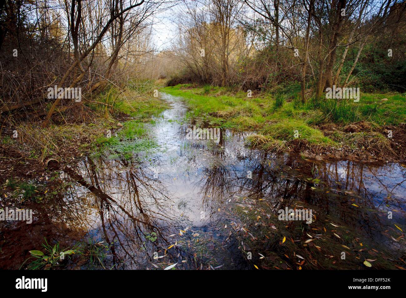 Retuerta del bullaque hires stock photography and images Alamy