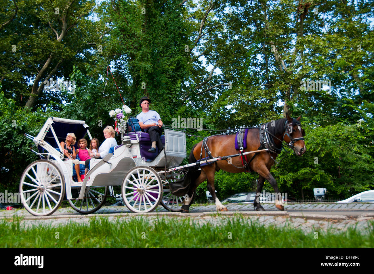 Horse drawn carriage Stock Photo Alamy