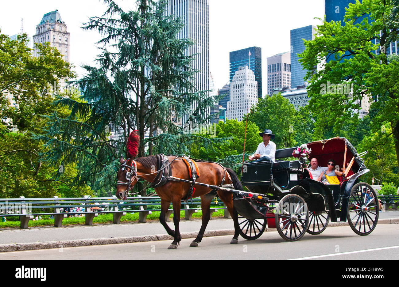 Horse drawn carriage Stock Photo Alamy