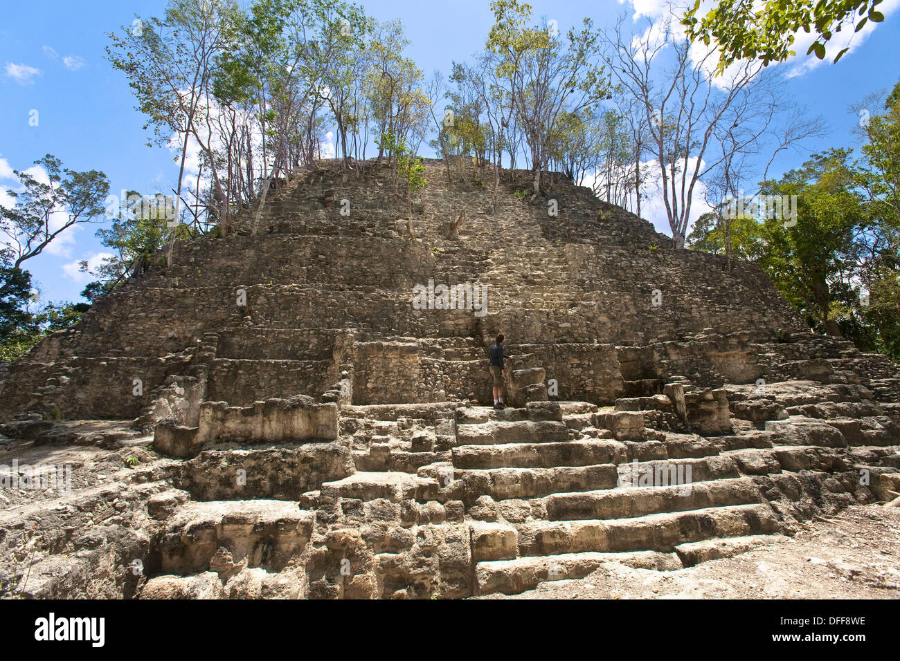 Guatemala, Peten, El Mirador, La Danta Temple Stock Photo 61187210 Alamy