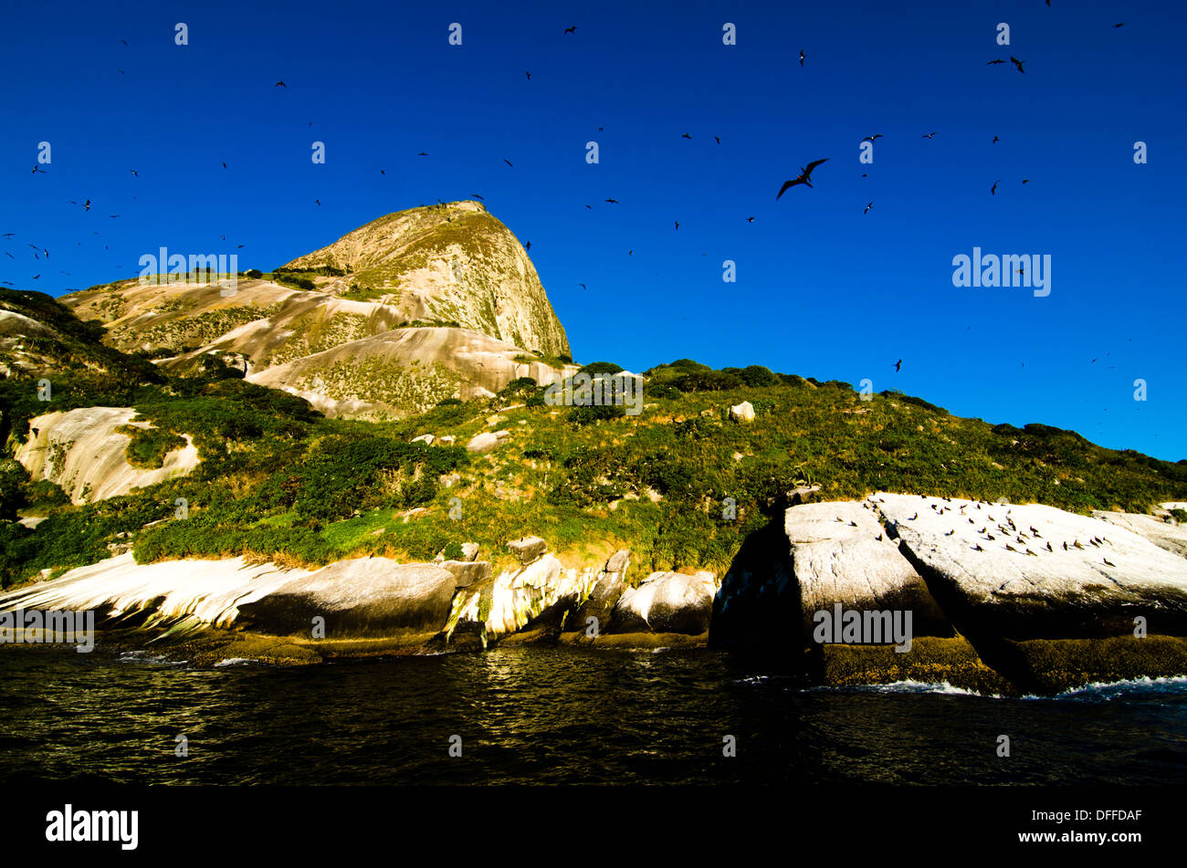 Alcatrazes island, 20 miles away from Sao Paulo state shore, Brazil
