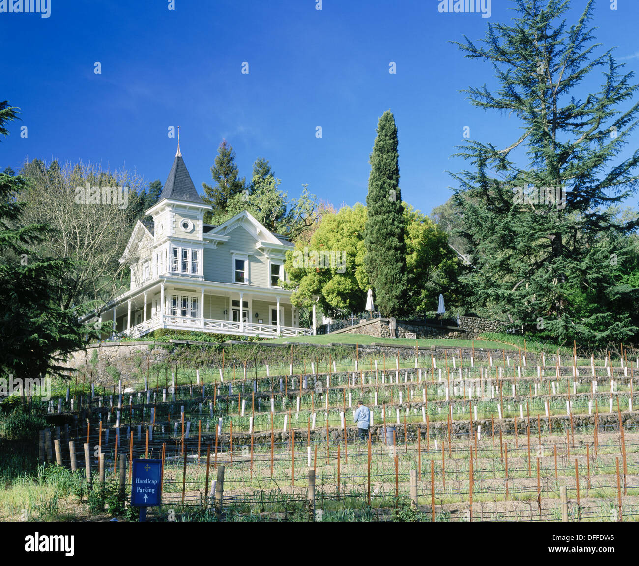 St Clement Vineyards. St Helena. Napa Valley. California. USA Stock