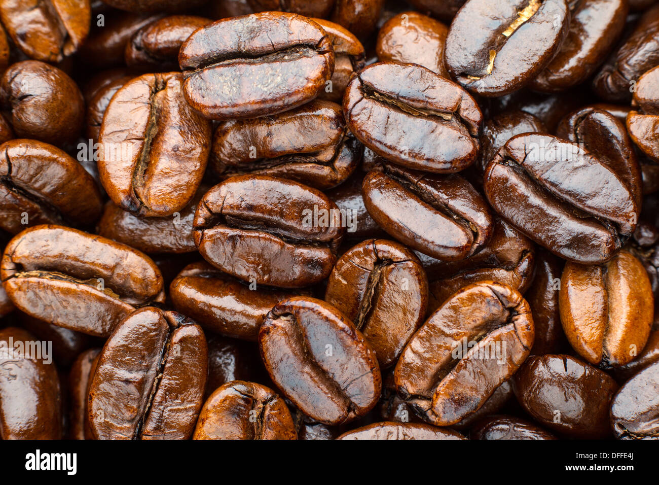 Roasted Arabica Coffee Beans For Cold Brew photo