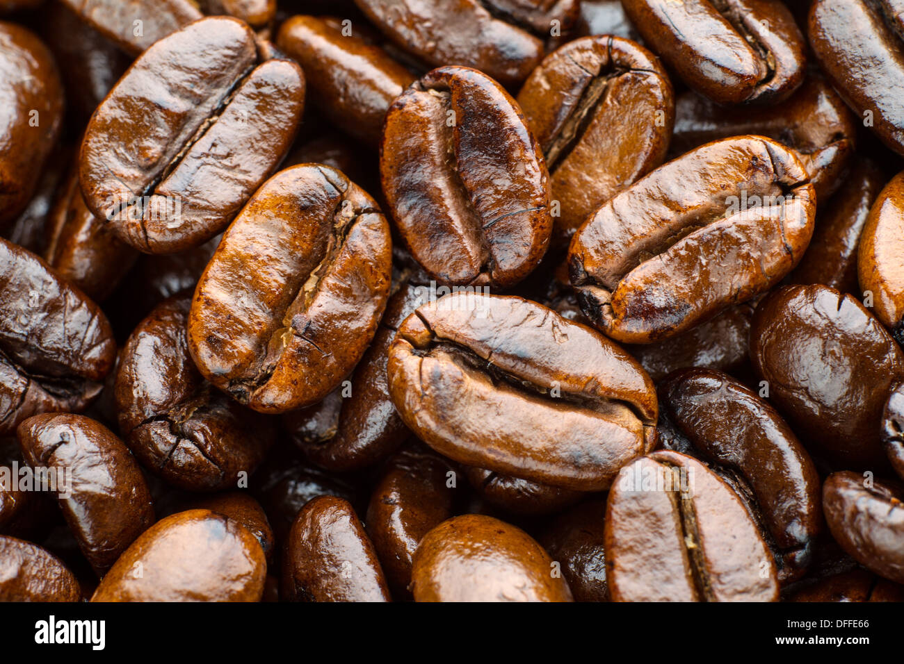 roasted coffee beans arabica Stock Photo